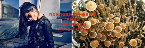 прущие крисы Абаза