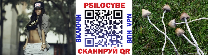 наркошоп  shop клад  Псилоцибиновые грибы Magic Shrooms  Щёлково 